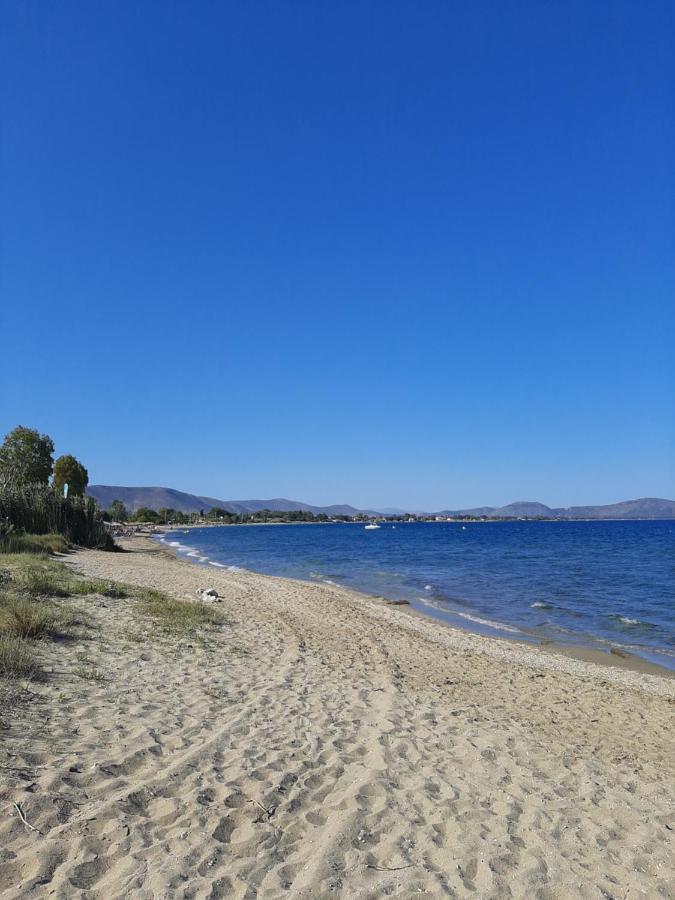 Cozy Flat In Nea Makri Apartment ภายนอก รูปภาพ