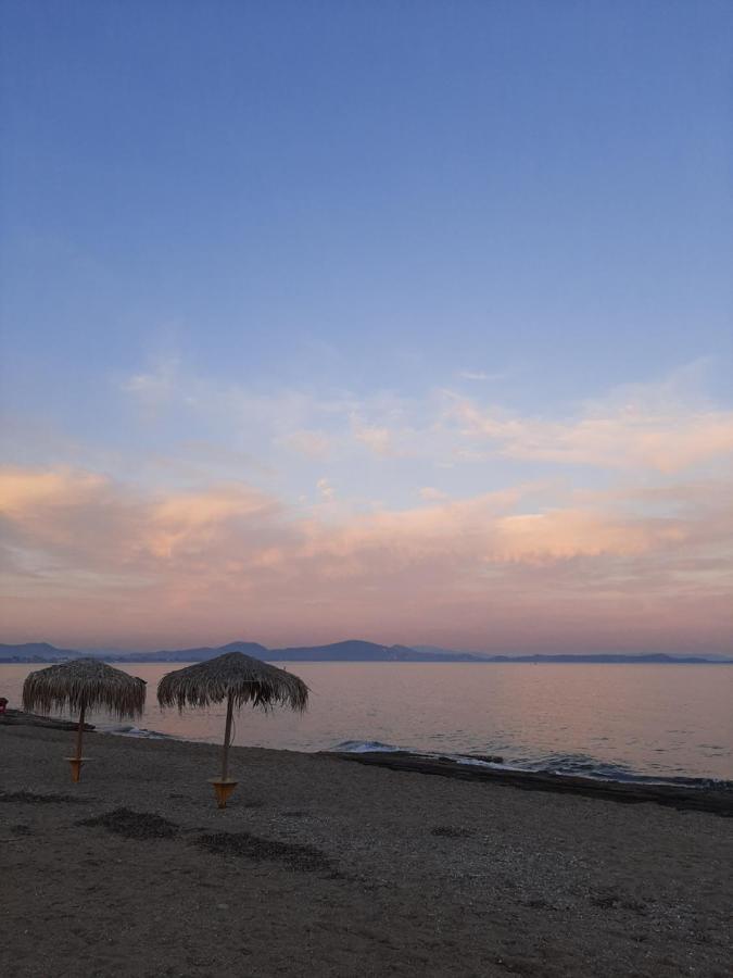 Cozy Flat In Nea Makri Apartment ภายนอก รูปภาพ